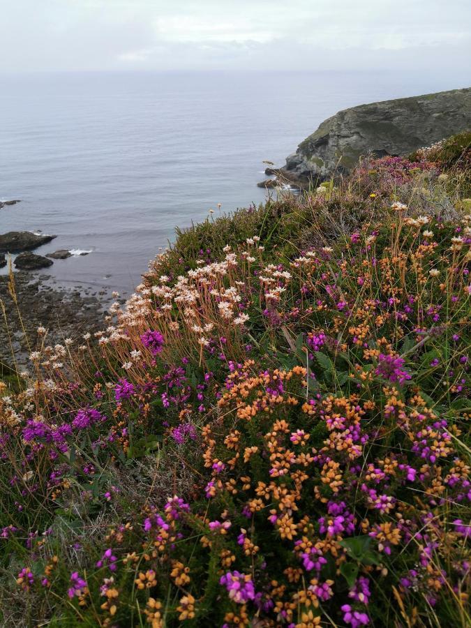 Captivating Isolde Cottage With Pool Near St Ives Camborne Eksteriør billede