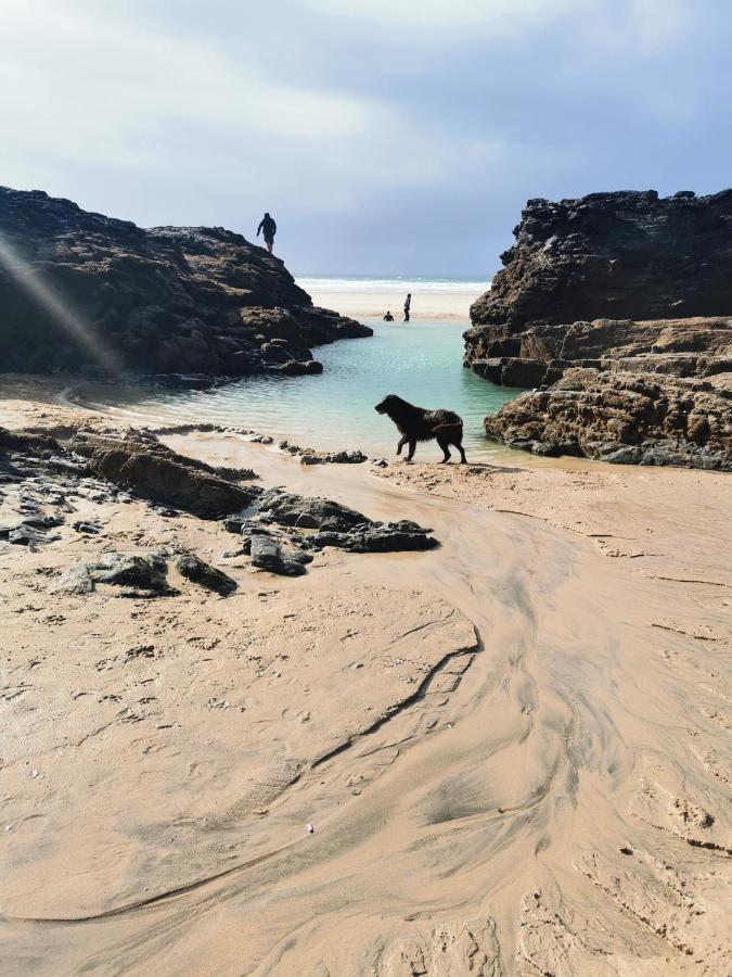 Captivating Isolde Cottage With Pool Near St Ives Camborne Eksteriør billede